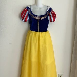 Disney Snow White Costume for Adult